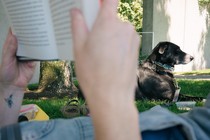 Hands holding a book outside in front of a dog