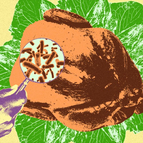 Thanksgiving Dinner How To Not Be Poisoned The Atlantic