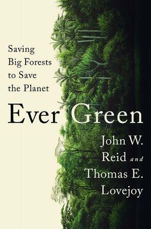 The book cover of "Ever Green"
