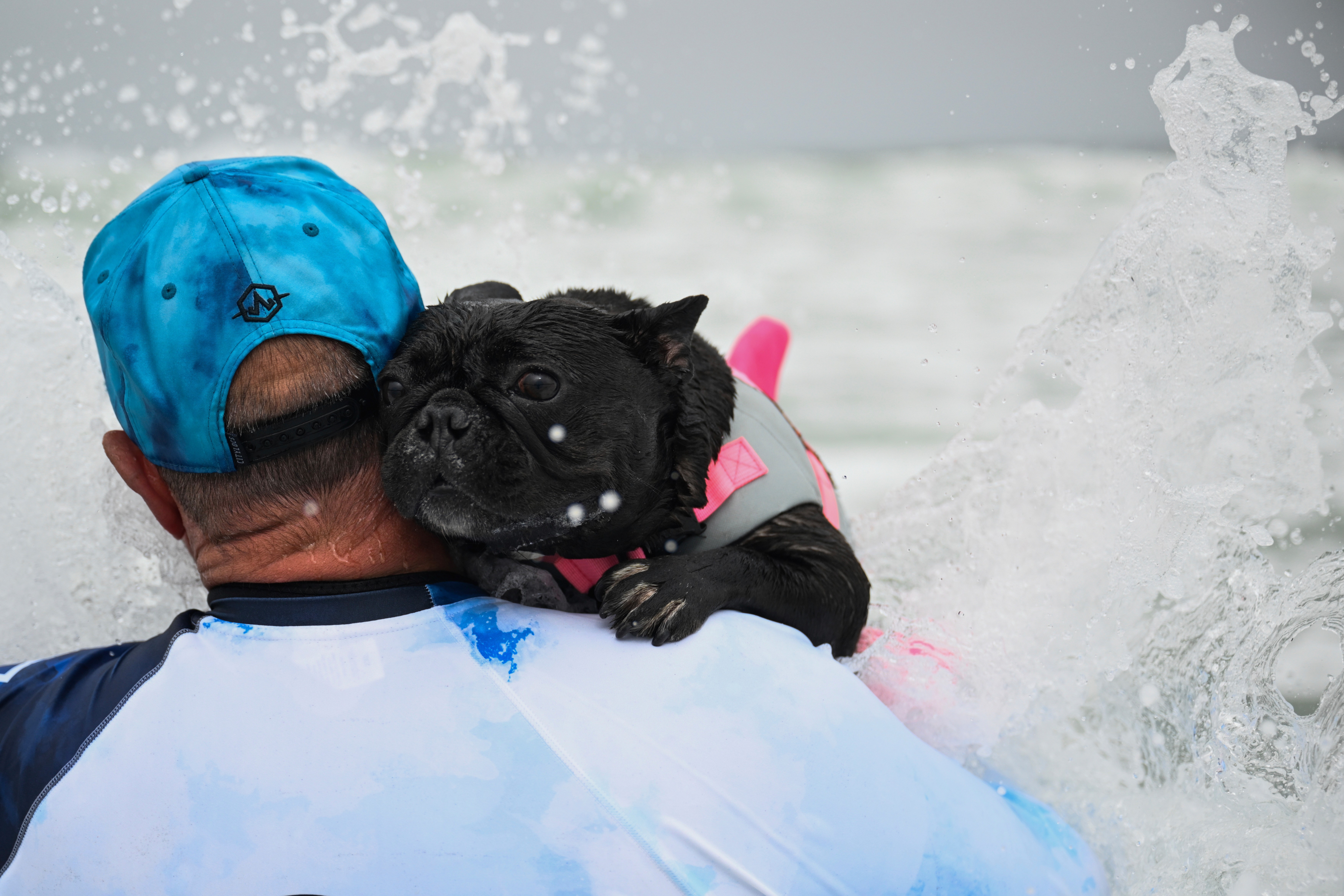 A man carries a small dog on his shoulder while wading through a crashing wave.