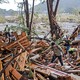 Search-and-rescue workers dig through debris alongside a recently flooded riverbed.