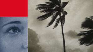 A collage of a palm tree in a storm and a human eye