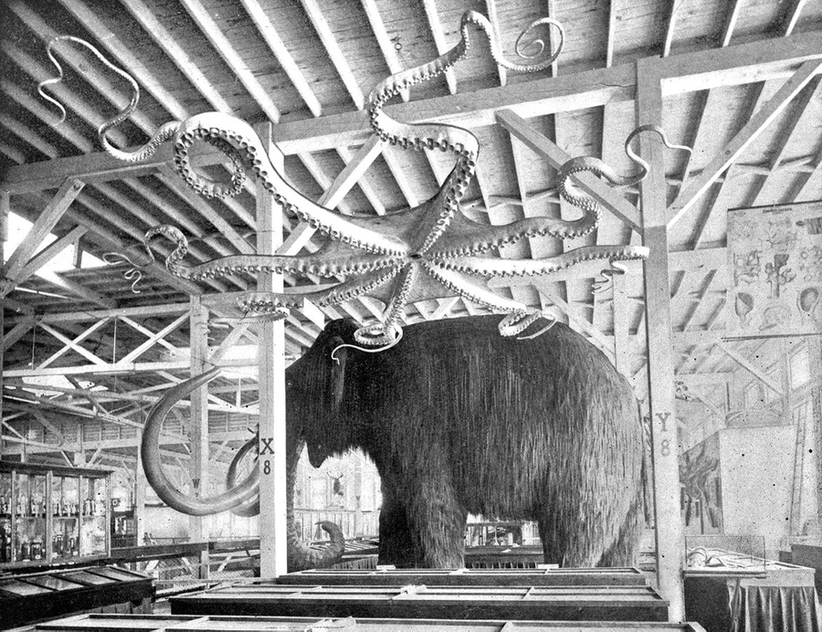 A replica woolly mammoth and giant octopus are displayed inside a hall.