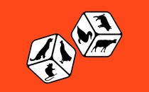dice with animals on each face