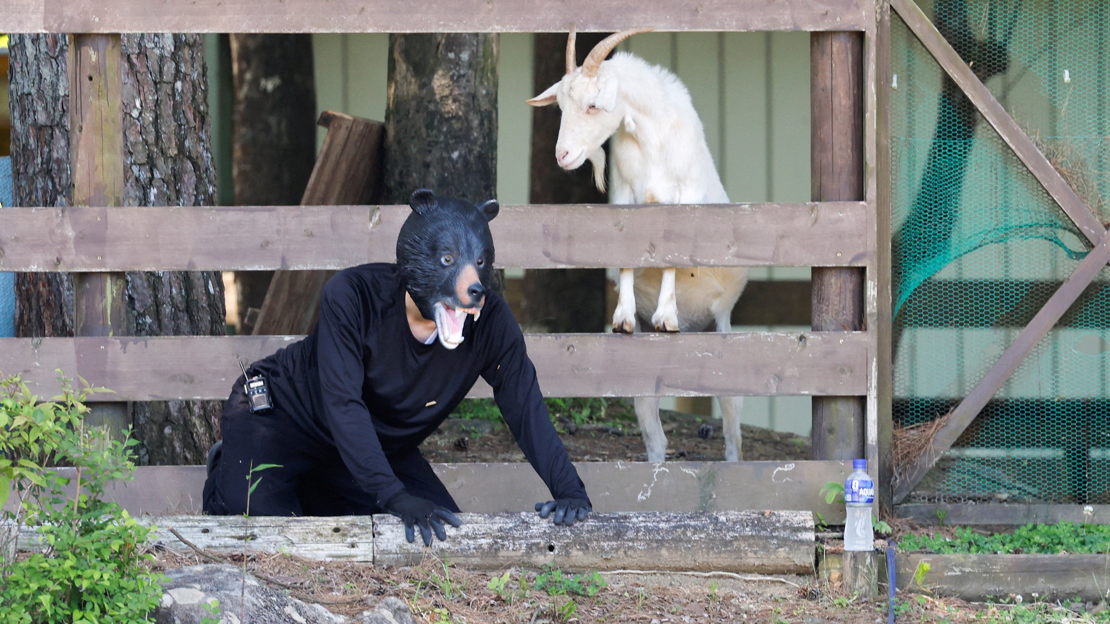Photos: A Bear-Emergency-Response Drill in Japan