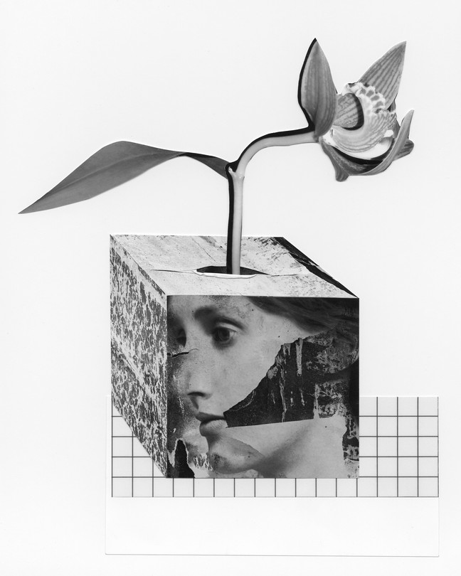 A flower breaking out of a cube featuring a torn image of Virginia Woolf