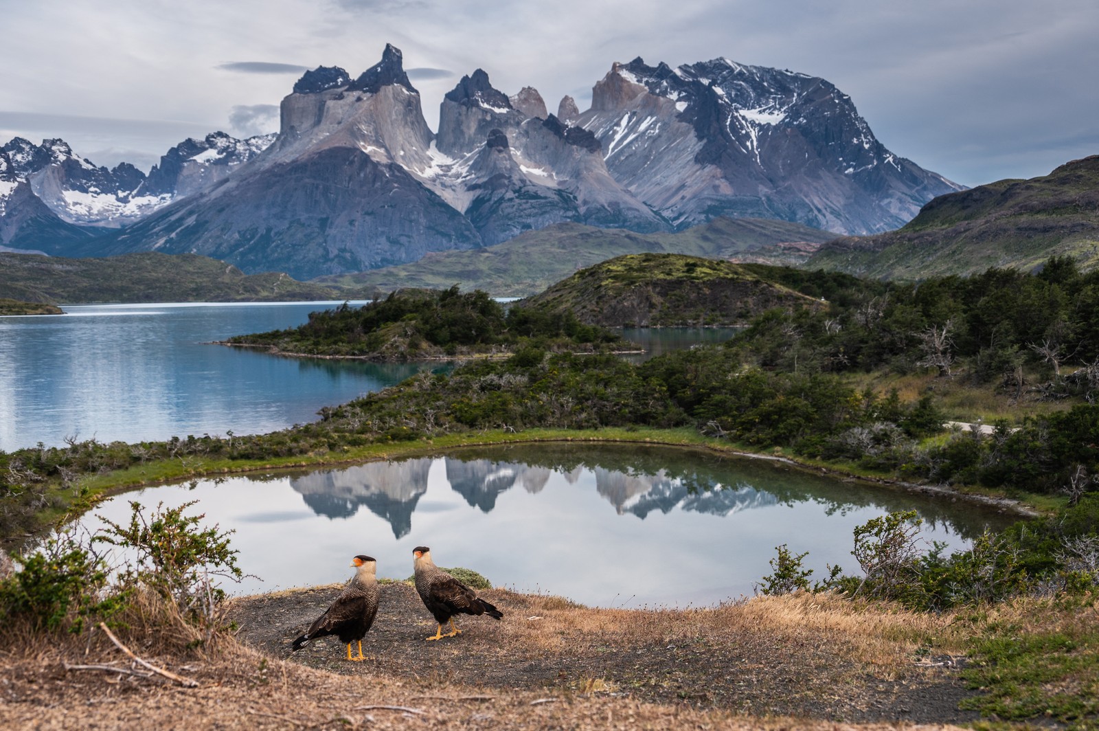 Two raptors stand on the ground near a lake, with dramatic rocky mountains standing in the background.