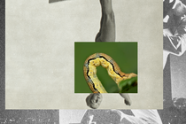 a caterpillar collaged onto a black and white photo of a diver