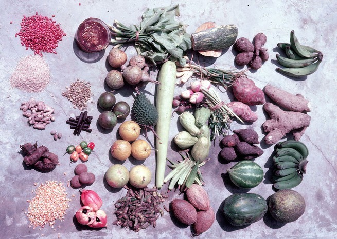 Vegetables, fruit, grains, and spices