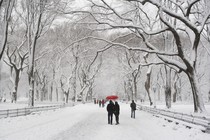 Two people under a red umbrella walk in a snowy Central Park