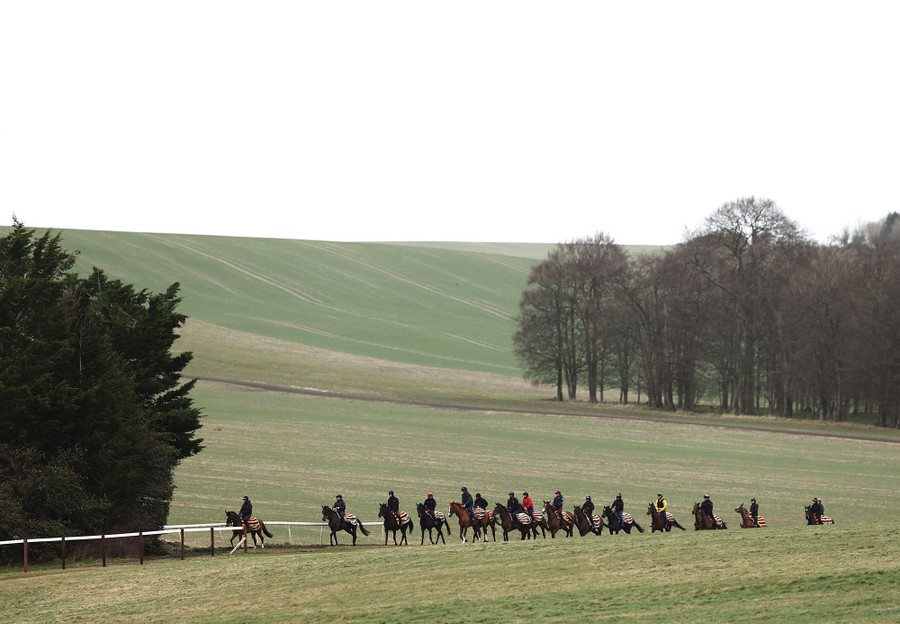 More than a dozen people ride horses through a field.