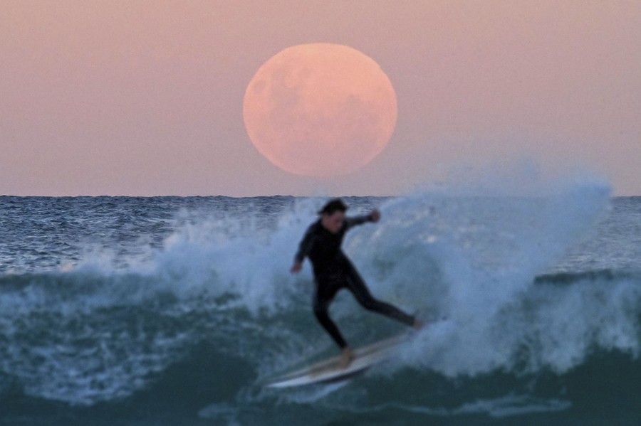 A surfer is seen as the moon rises over the ocean.