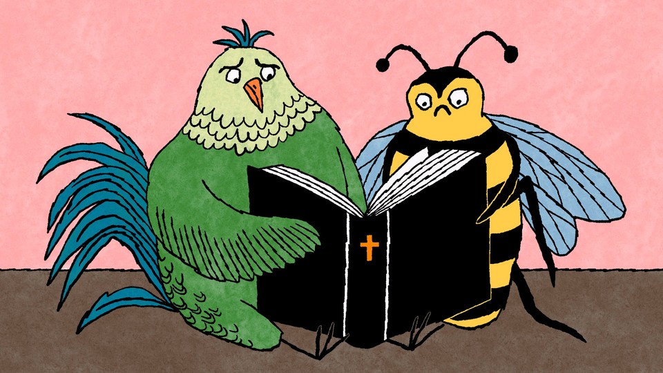 An illustrated bird and bee reading a Bible and frowning