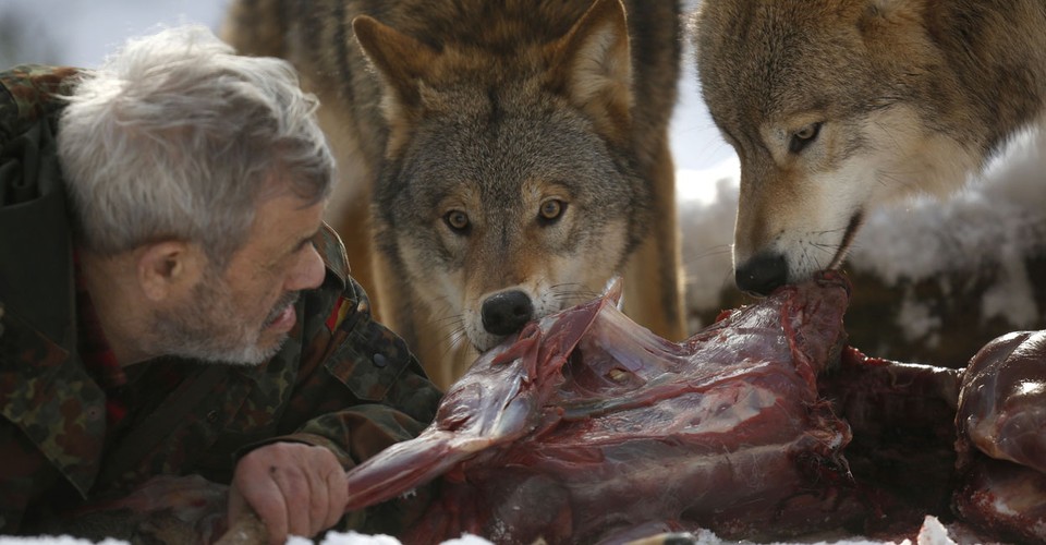 german man living with wolves