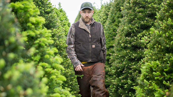 Ben Foster in 'Leave No Trace'