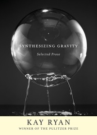 The cover of Synthesizing Gravity