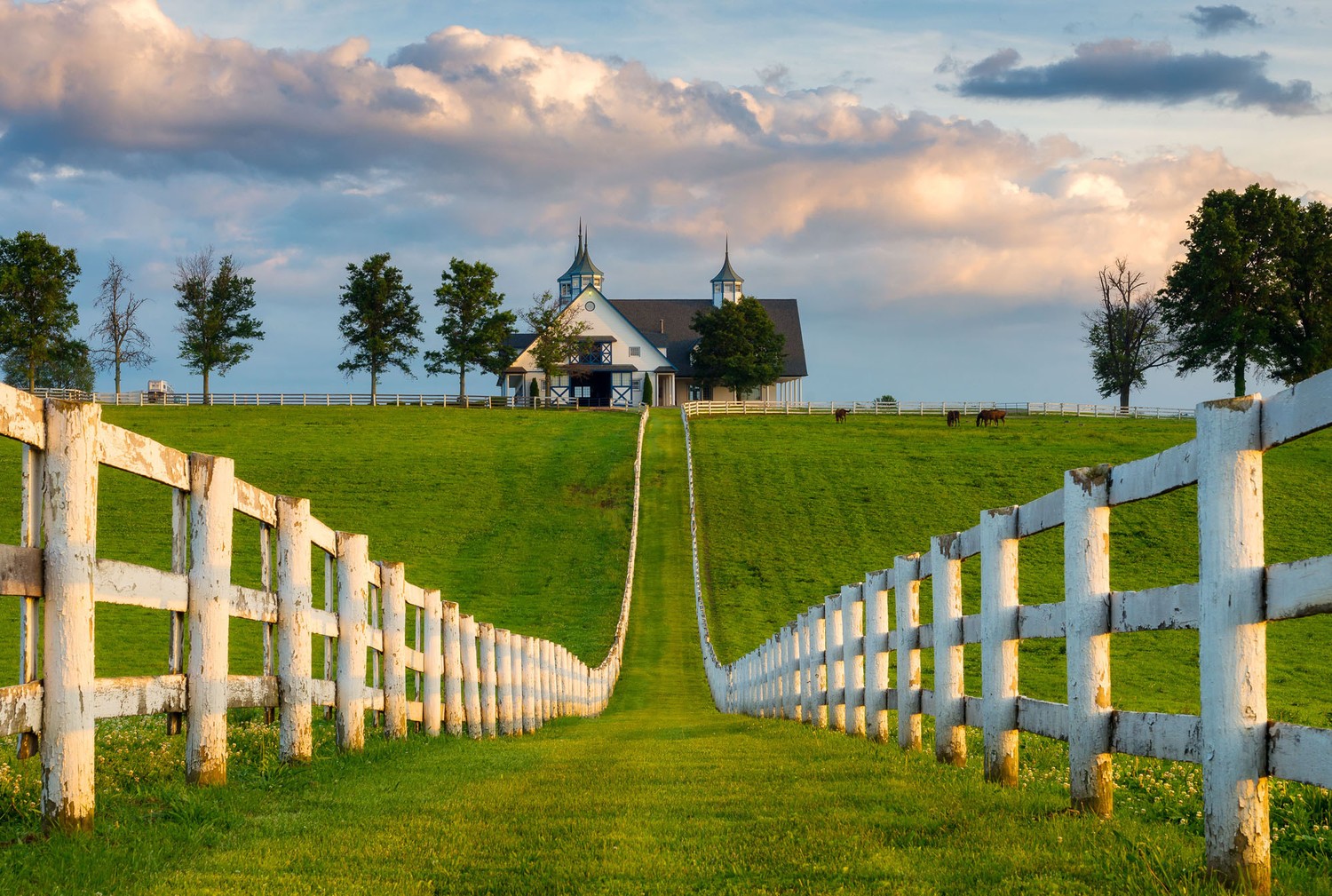 Kentucky Farm ,Kentucky,USA