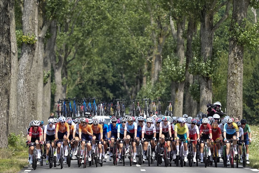 A large group of cyclists passes along a tree-lined street during a race.