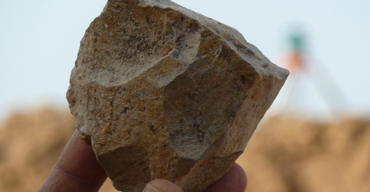 Stone tools put early hominids in China 2.1 million years ago