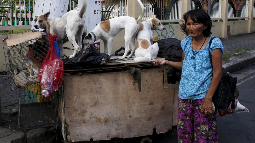 Where Were Dogs First Domesticated? The Atlantic