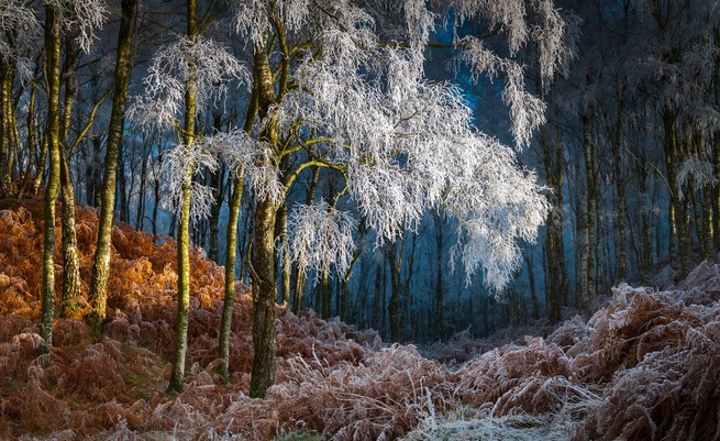 An image of Eden Valley in Cumbria, United Kingdom