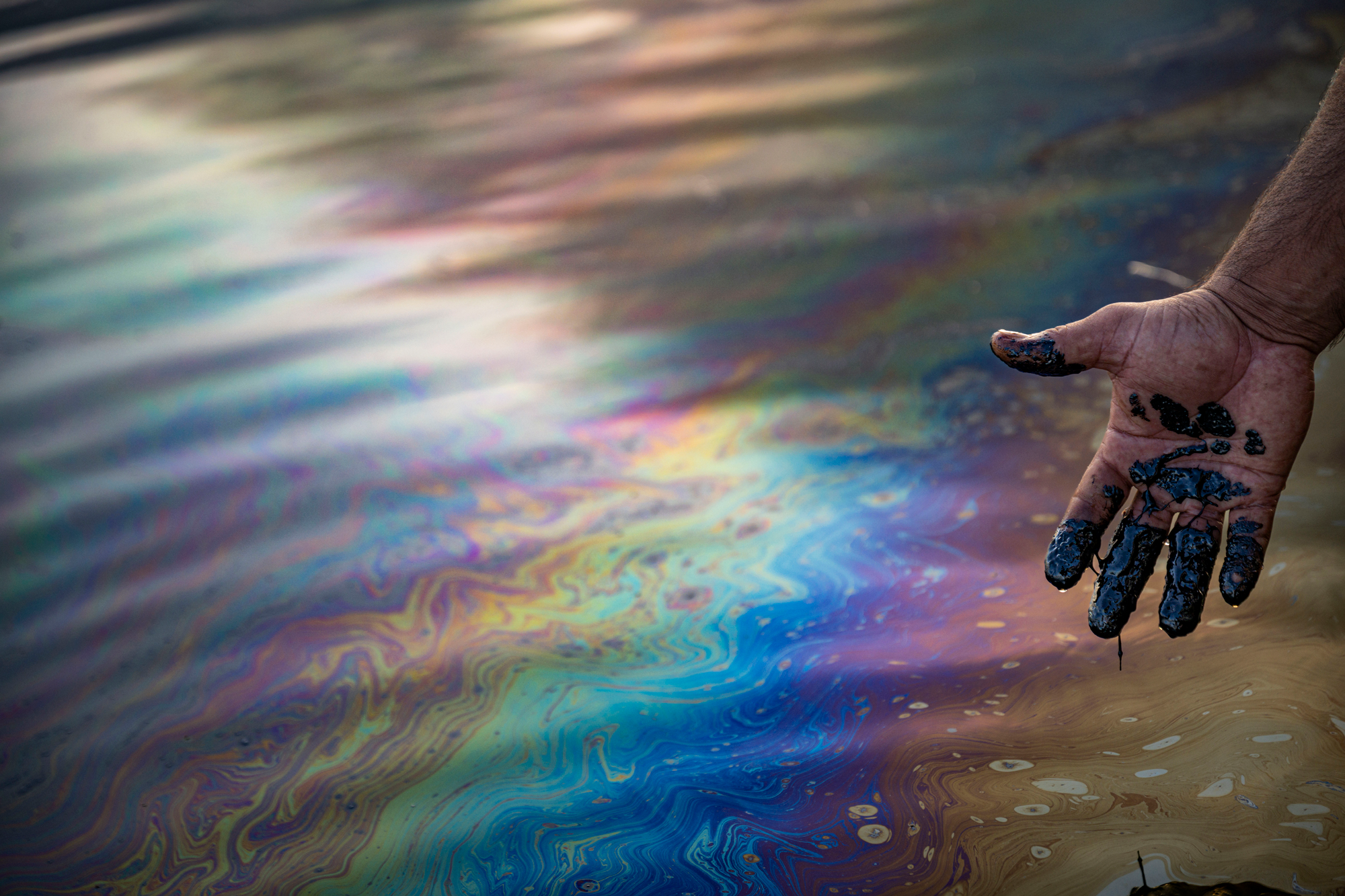 crude oil drips from the fingers of a hand dripped into an oil-slicked body of water