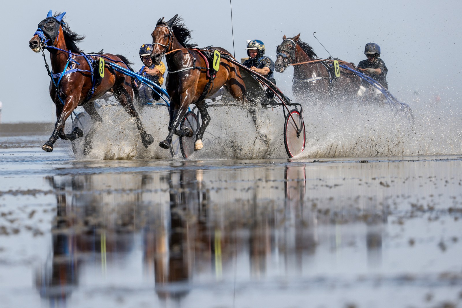 Race horses run across a wet mudflat, pulling jockeys on small two-wheeled carts.