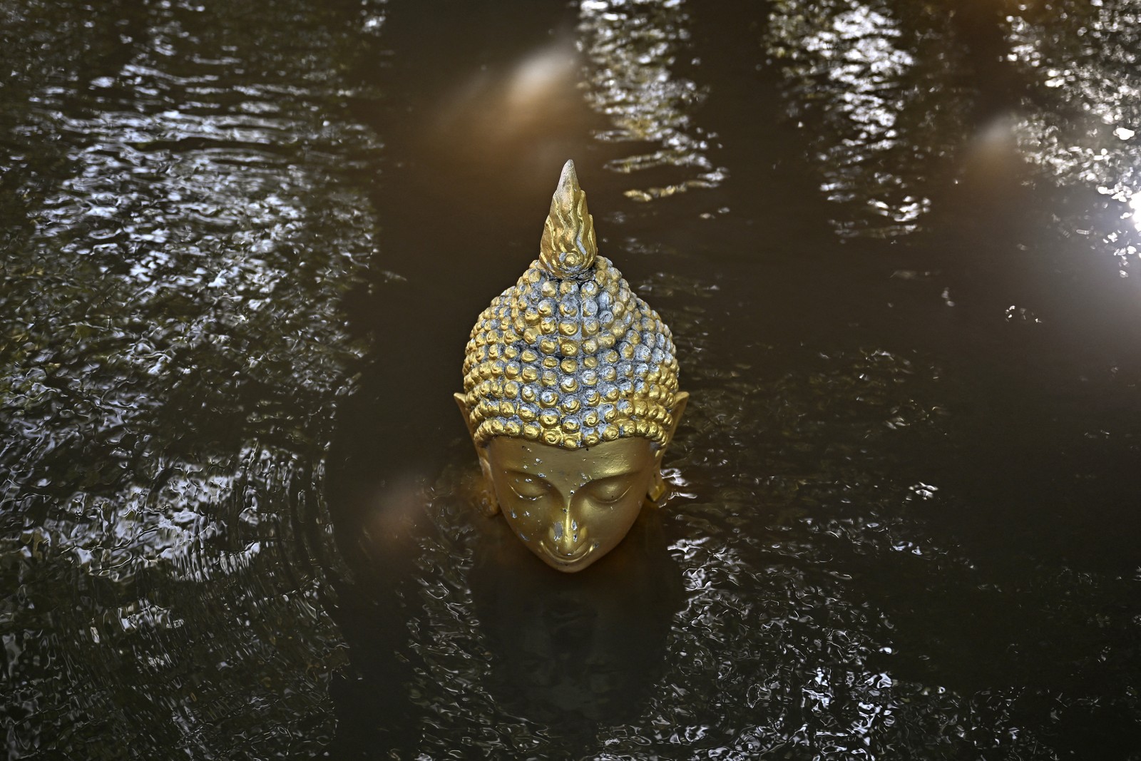 Just the head of a Buddha statue, visible above flood water
