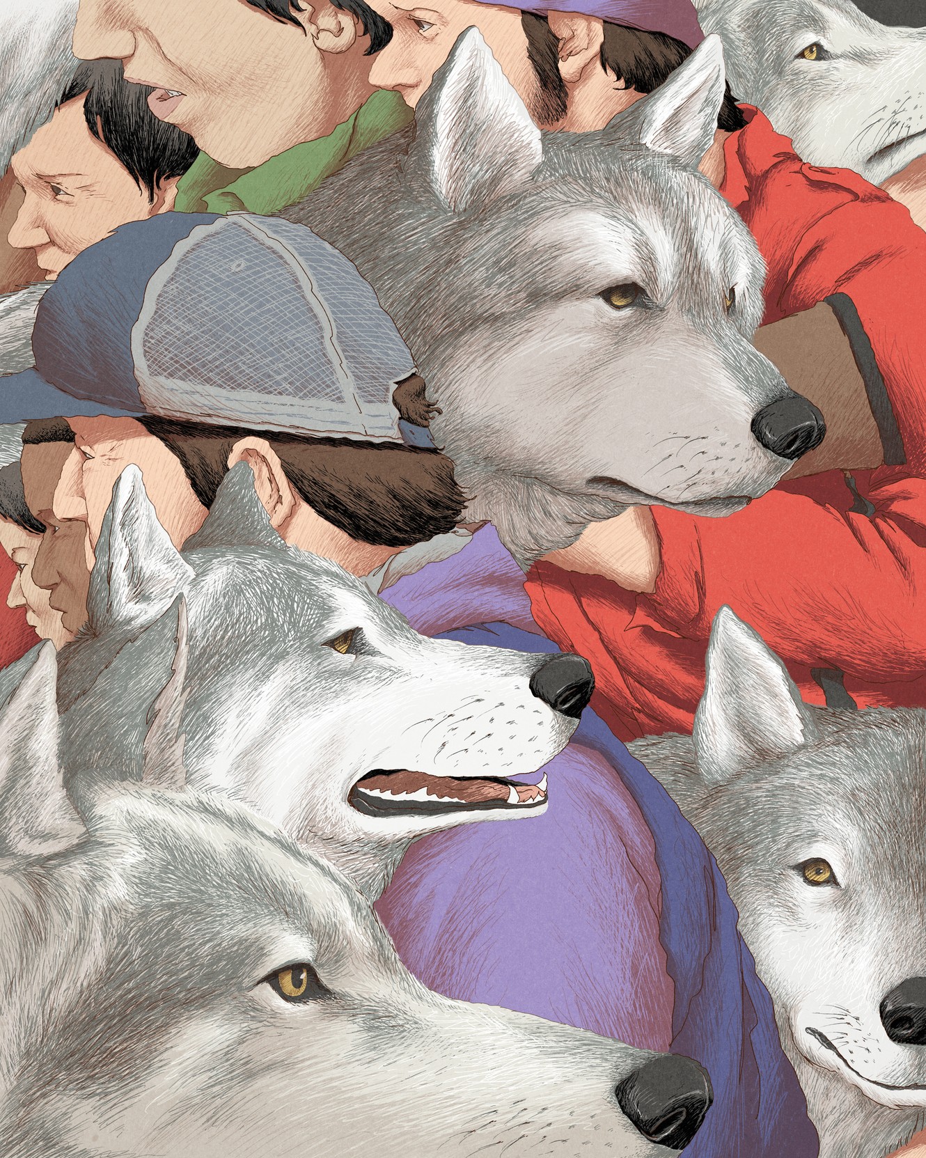 What the Return of the Wolf Means for Humans - The Atlantic