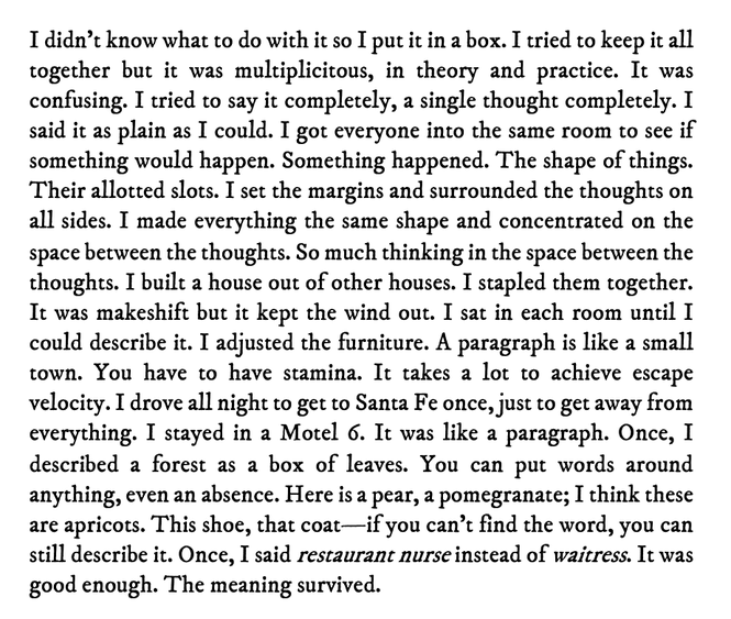 The text of a poem by Richard Siken, titled "Paragraph"