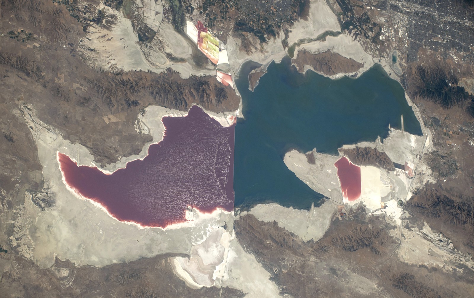The Great Salt Lake, seen from orbit, showing different-colored water in two sections.