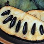A sliced-open pawpaw