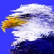 Illustration of a distorted eagle