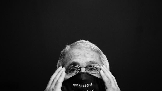 Anthony Fauci testifies during a Senate committee hearing in September.