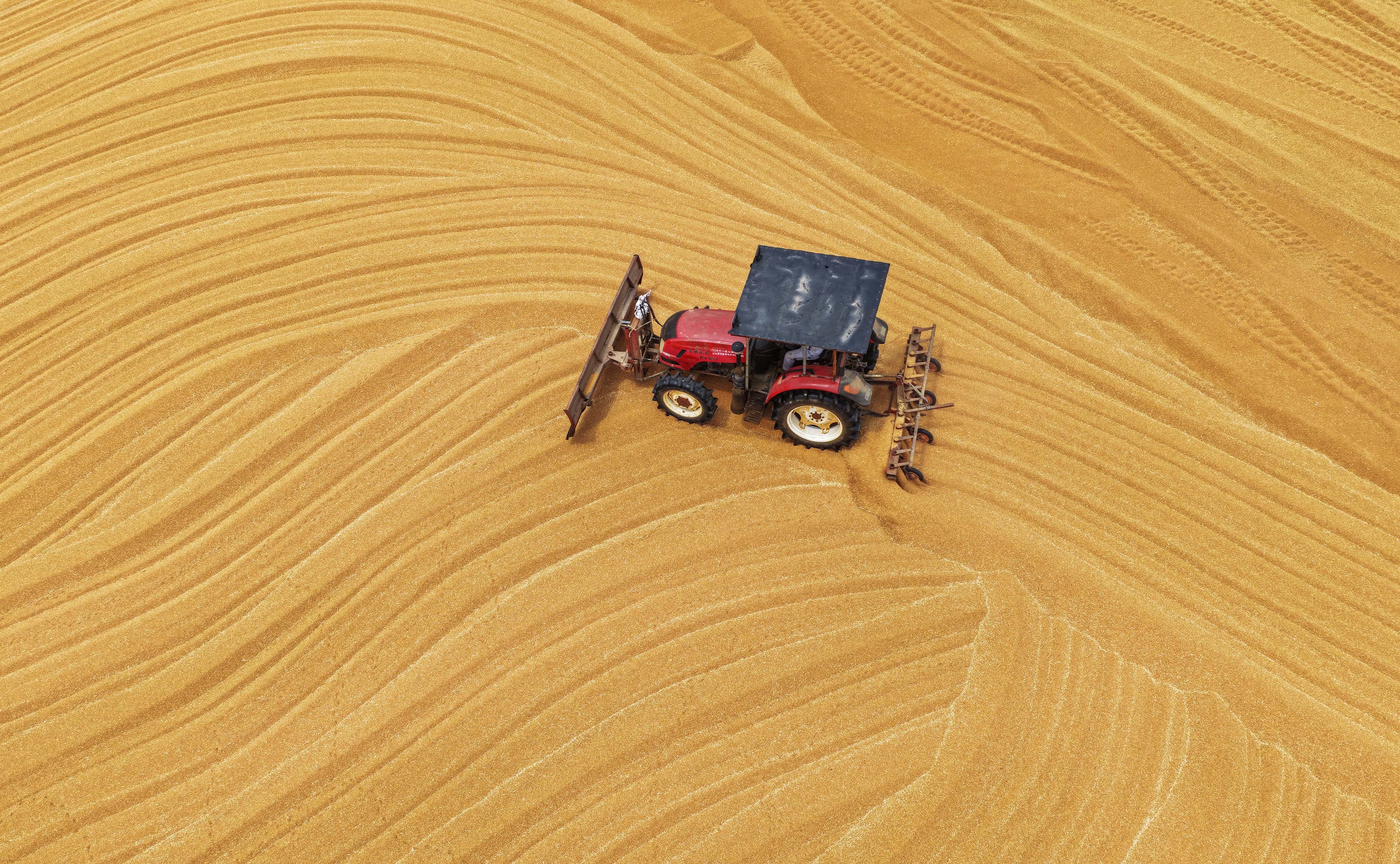 An aerial view of a tractor being used to spread wheat for drying