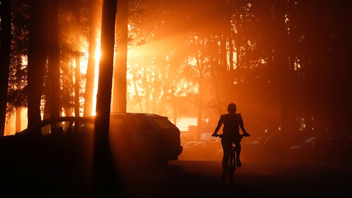 The silhouette of a person riding a bike through the woods as the sun sets