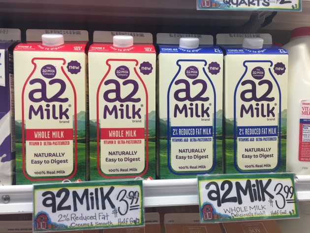 Why is A2 Milk Easy to Digest?
