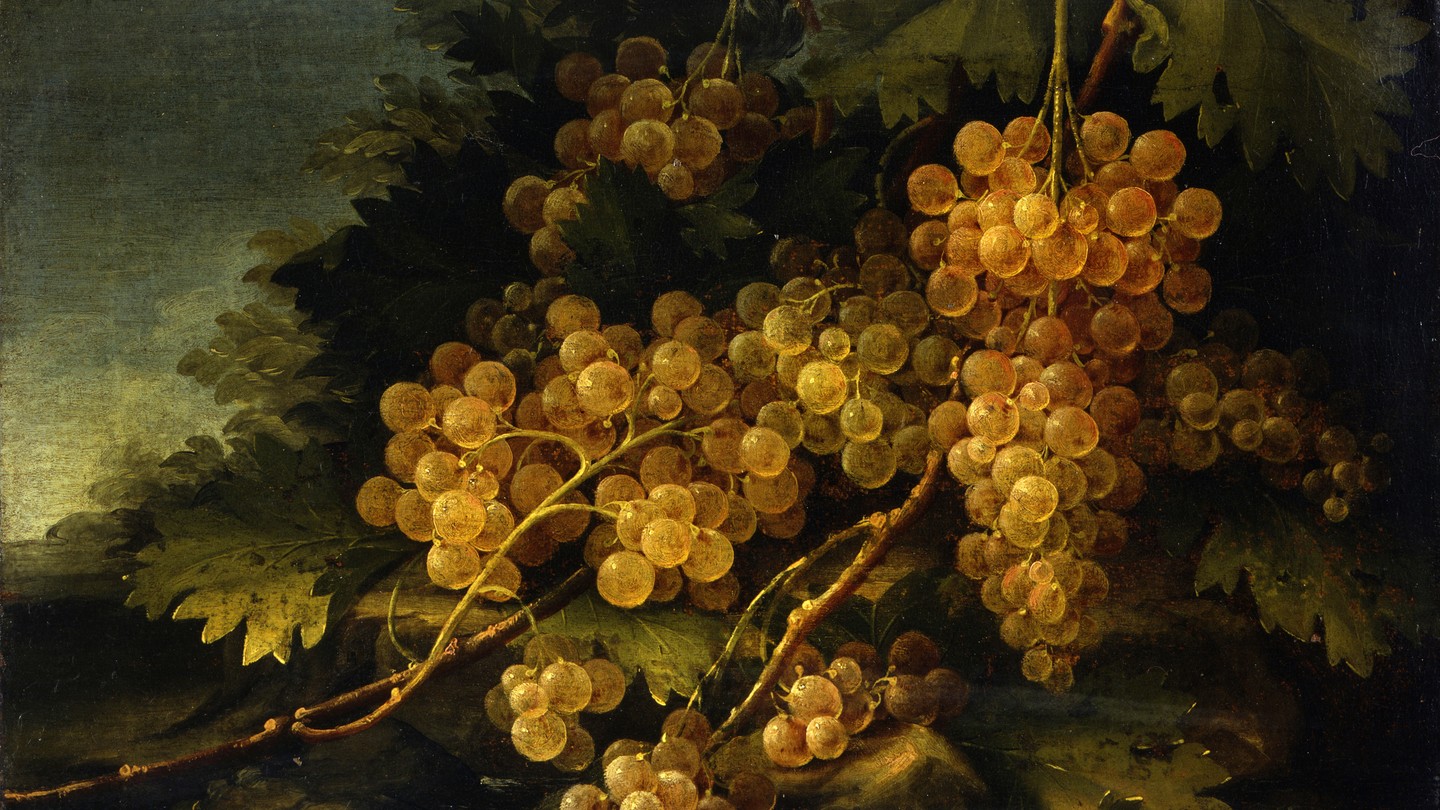 A painting of multiple bunches of gold grapes on the vine, surrounded by leaves