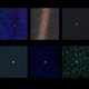 Neptune, Uranus, Saturn, Jupiter, Venus, and Earth, as seen by Voyager 1