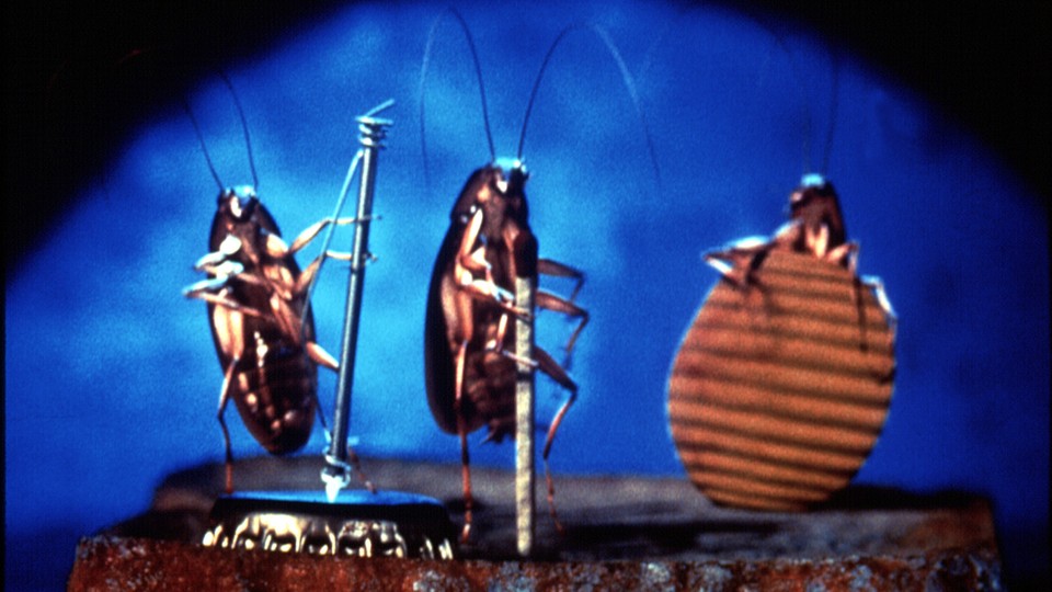 Three cockroaches playing instruments from the 1996 movie "Joe's Apartment"