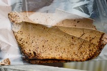 Photograph of a chip of lead paint