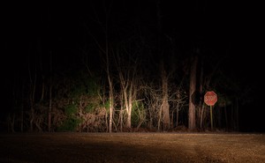 photo of wooded area and stop sign illuminated by car headlights and surrounded by darkness