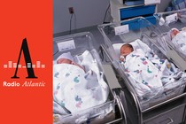 Newborn babies in a hospital nursery
