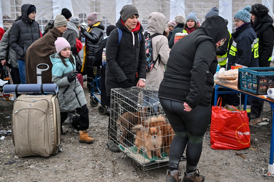 Photos: Animals Can Be Refugees Too - The Atlantic