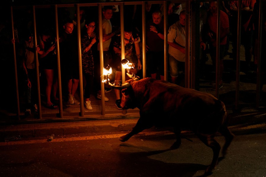 Onlookers watch from behind bars as a bull with flaming horns runs nearby.