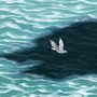 An illustration of a kittiwake flying over the sea