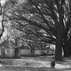 A black-and-white photograph of a Black child standing near tall trees and huts