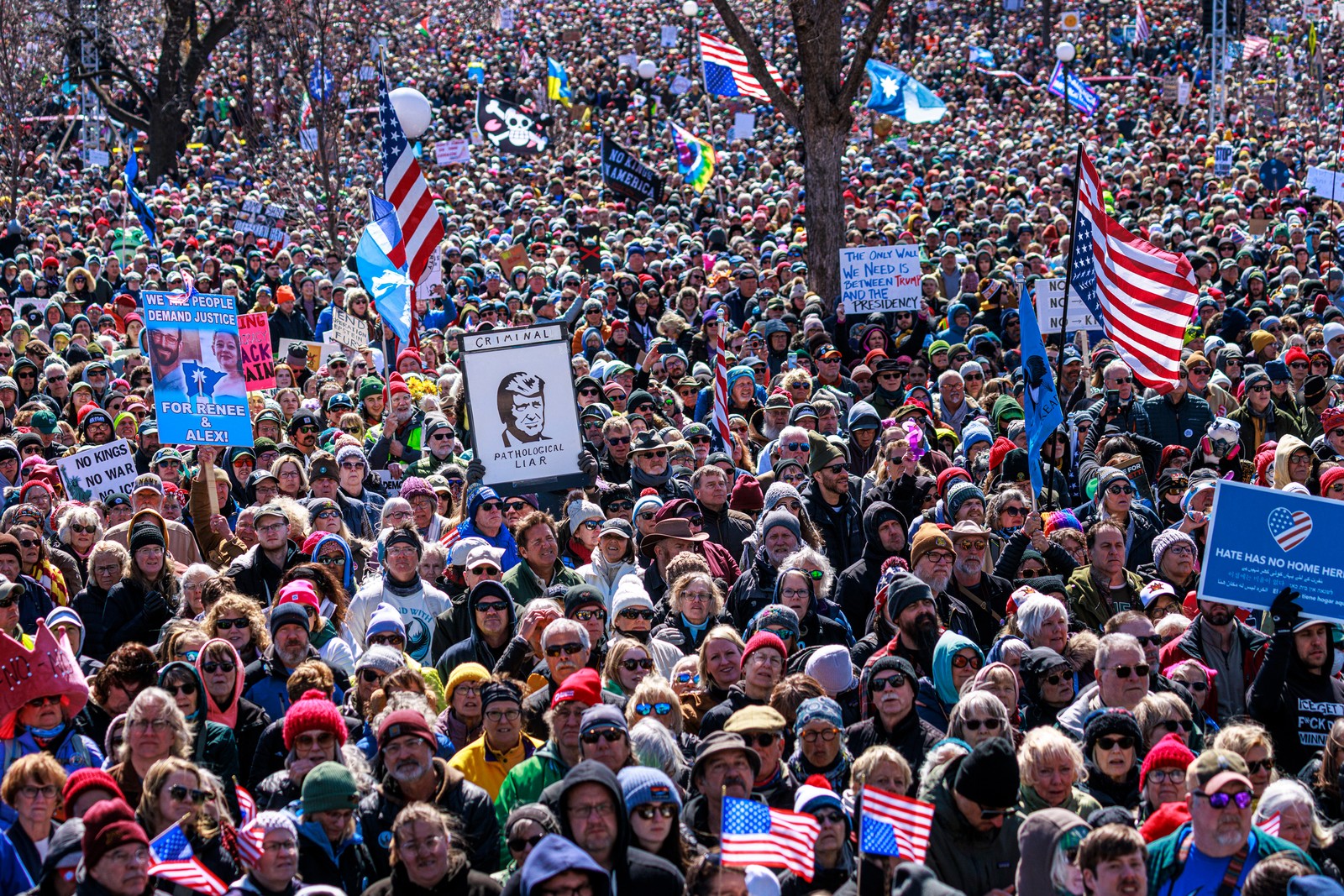 A large crowd of protesters stand together, holding up American flags, and anti-Trump signs.