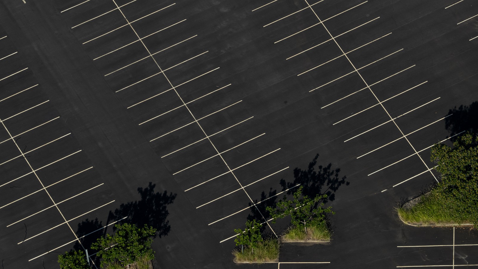 Are Parking Lots Ruining Your City? 