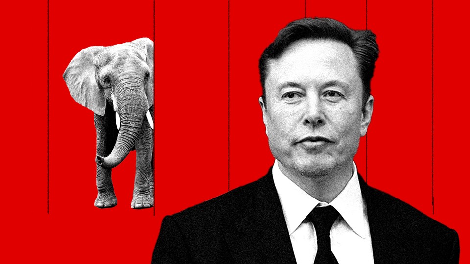 A photo-illustration showing black-and-white cut-out photos of Elon Musk and an elephant on a bright-red background.